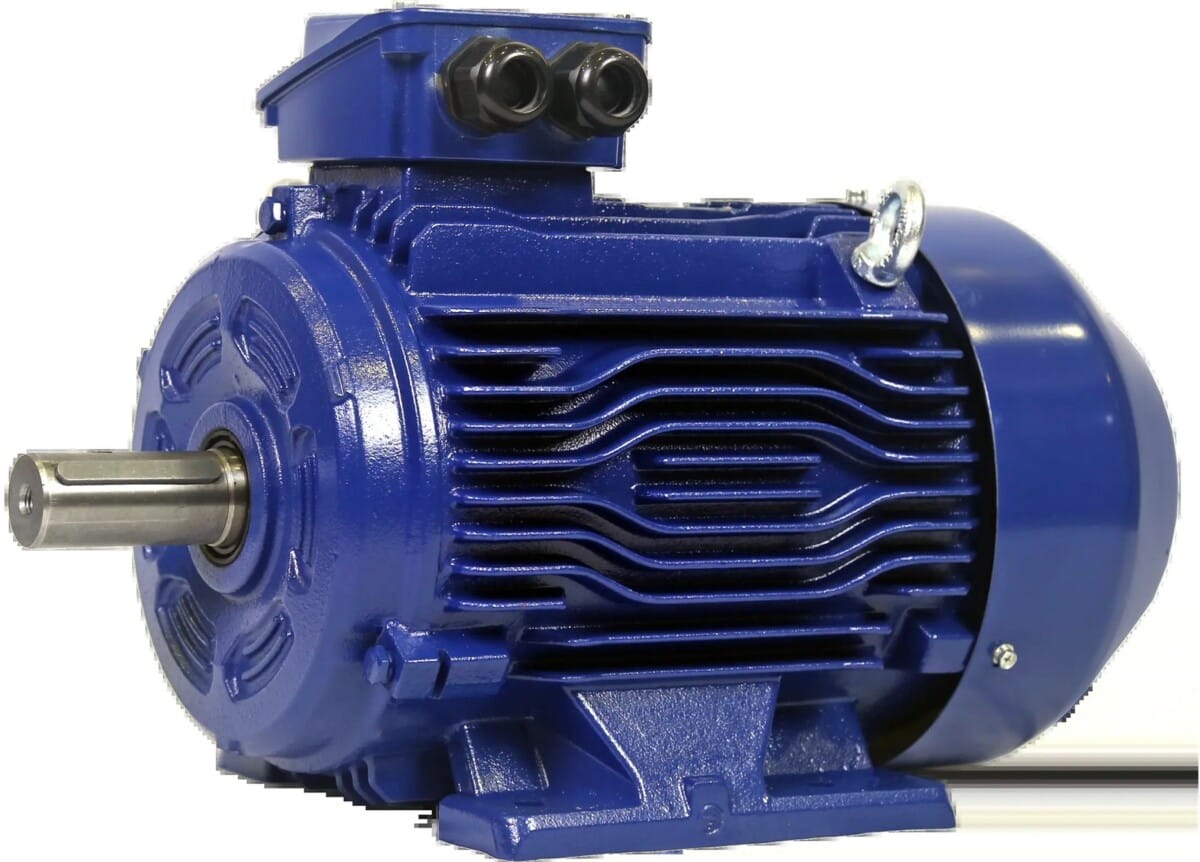 LS ELECTRIC 산업용 AC 유도 전동기